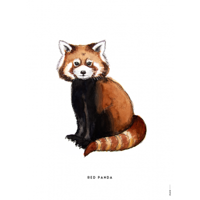 Poster Rode Panda - 6 stuks